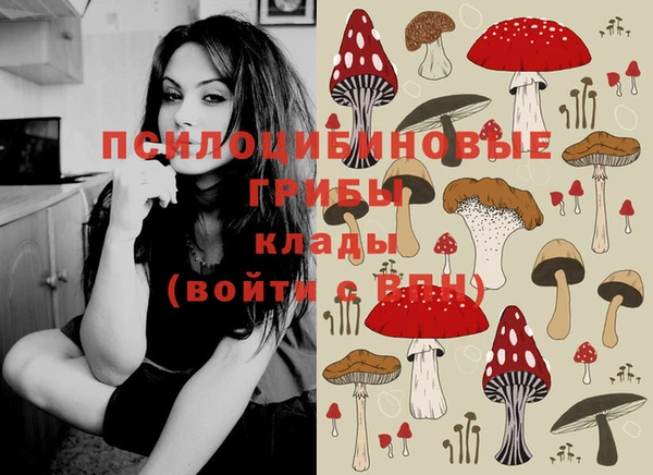 бошки Алексеевка