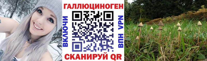 Псилоцибиновые грибы Psilocybine cubensis  ссылка на мегу ONION  Мамоново  цены  